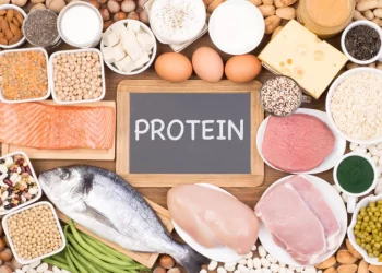پروتئین مورد نیاز برای بدن
