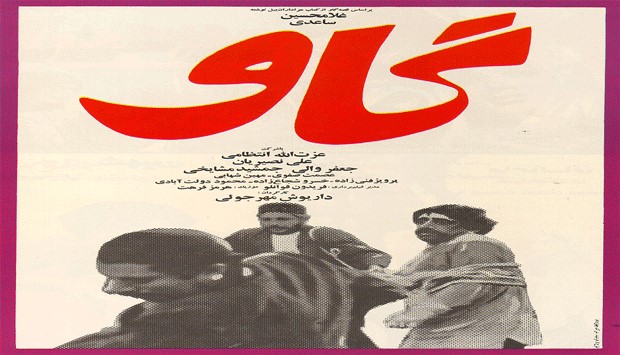  فیلم گاو