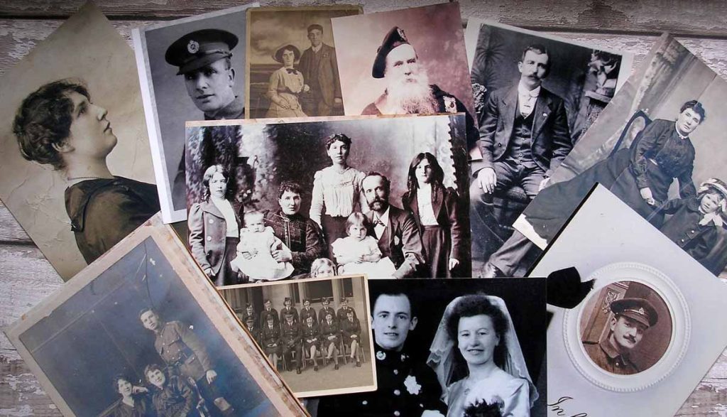 گردشگری ریشه