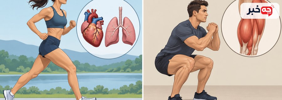 مقایسه تصویری فعالیت هوازی و حرکت تکراری عضلات پا