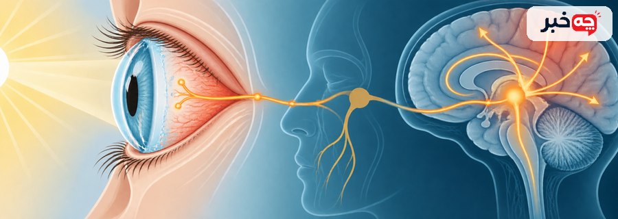 مقایسه مسیرهای احتمالی حساسیت به نور در چشم و میگرن